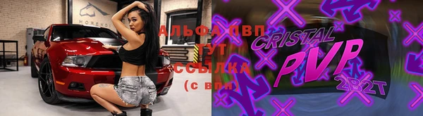 крисы Майский
