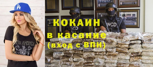 трава Магас