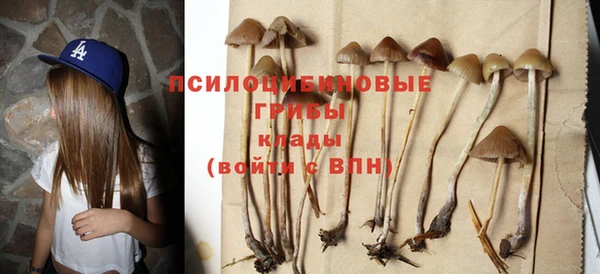 трава Магас