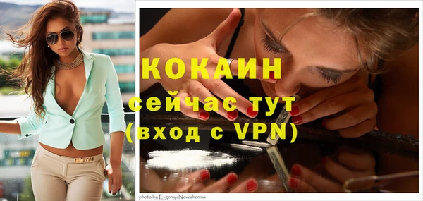 трава Магас
